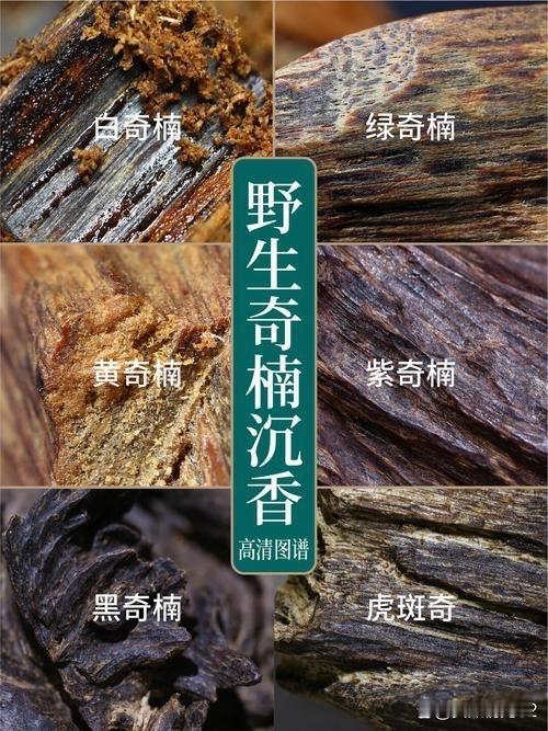 野生奇楠经数十年上百年自然醇化，油脂满溢、香韵层次丰富，克价动辄数千上万，是稀缺