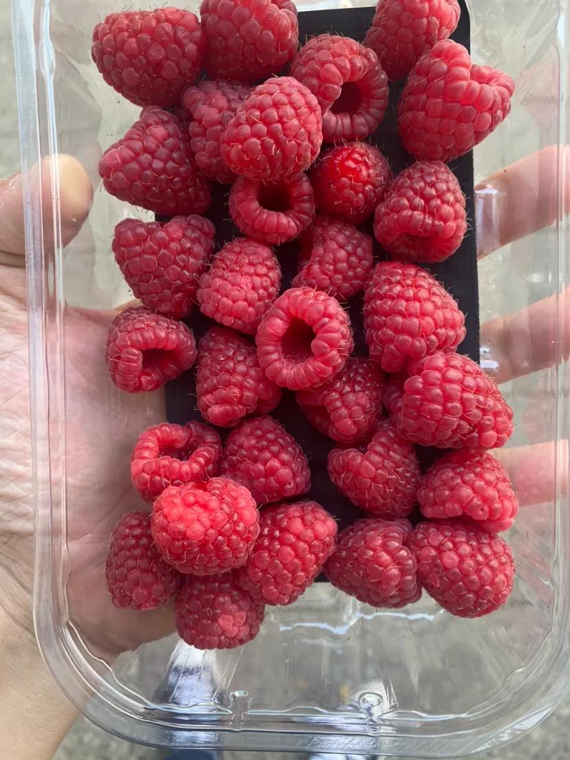 3英镑就这么点，高贵！