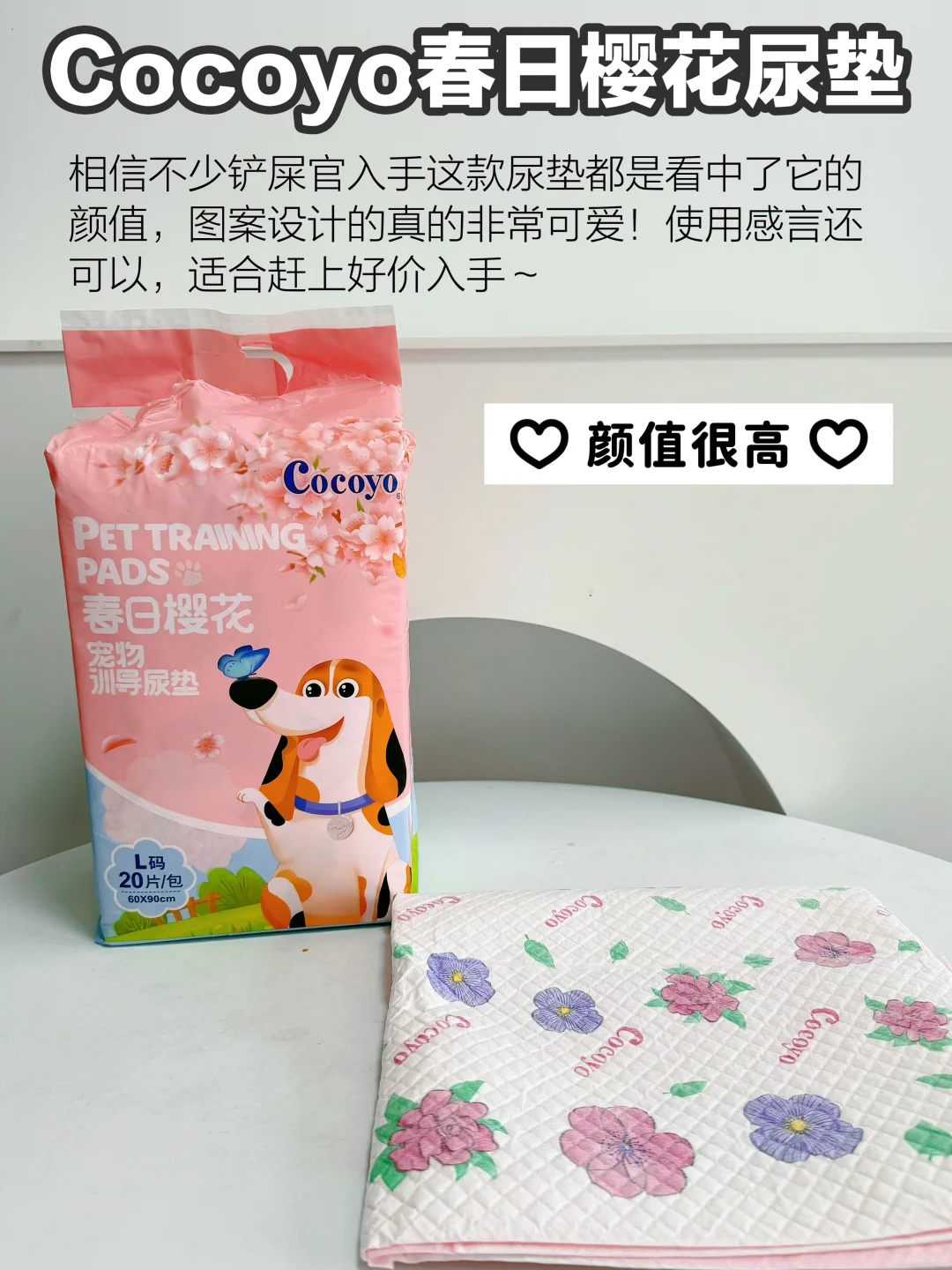 养狗人怎么选尿垫？四款热门尿垫测评分享