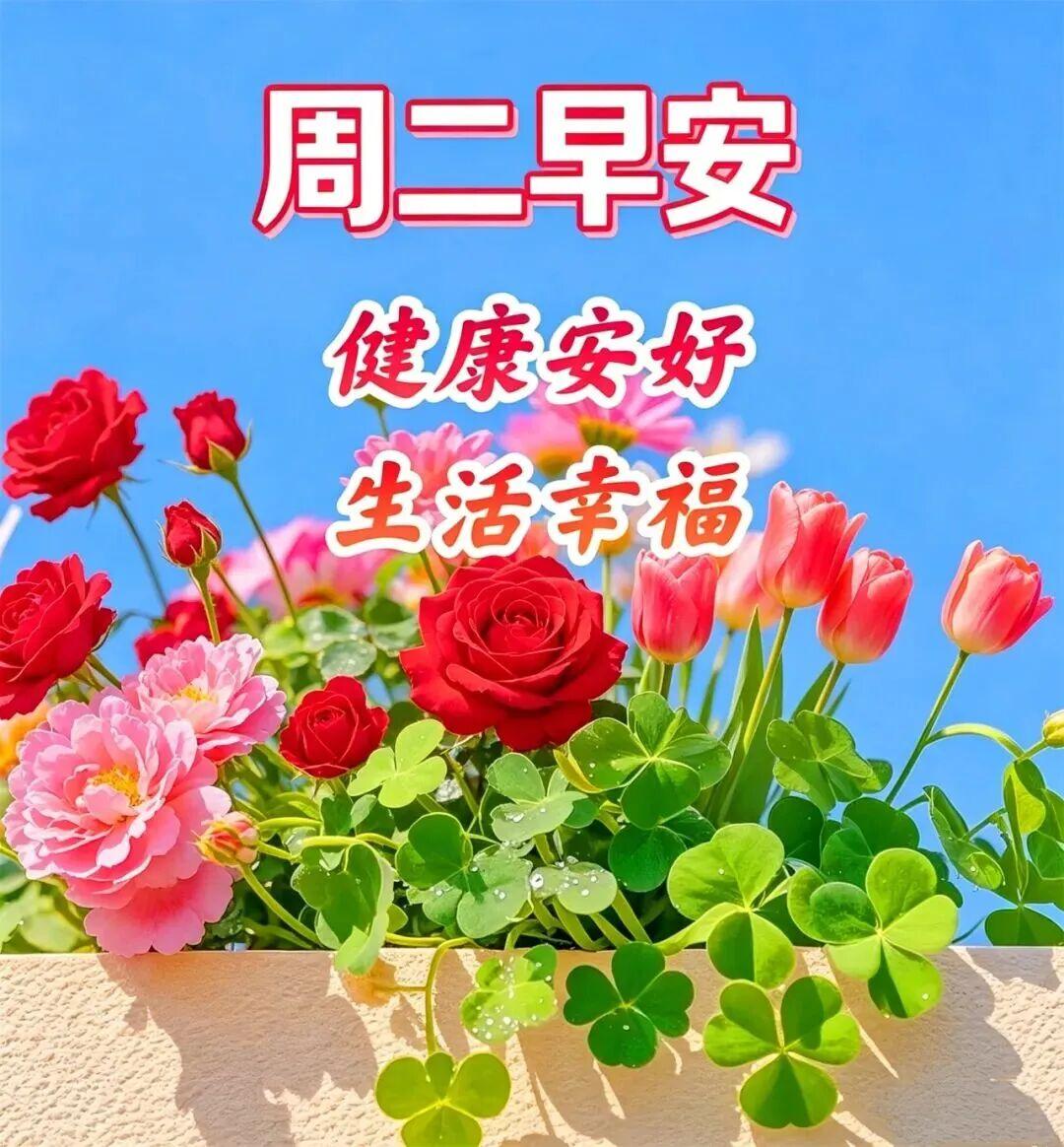 周二早安愉快！看过世间繁华，才明白简单最为动人；走过岁月沧桑，才知晓平淡最为真切
