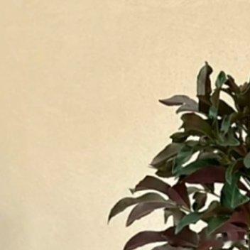 星河依旧滚烫，人间再无理想；皓月依旧清凉，人间再无曙光；人海依旧冷漠，人间已无炽