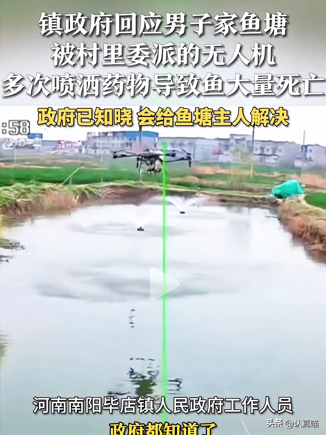就离谱，
油菜花误打农药的事还没翻篇，
居然又有人用无人机往鱼塘里打药，看得人一