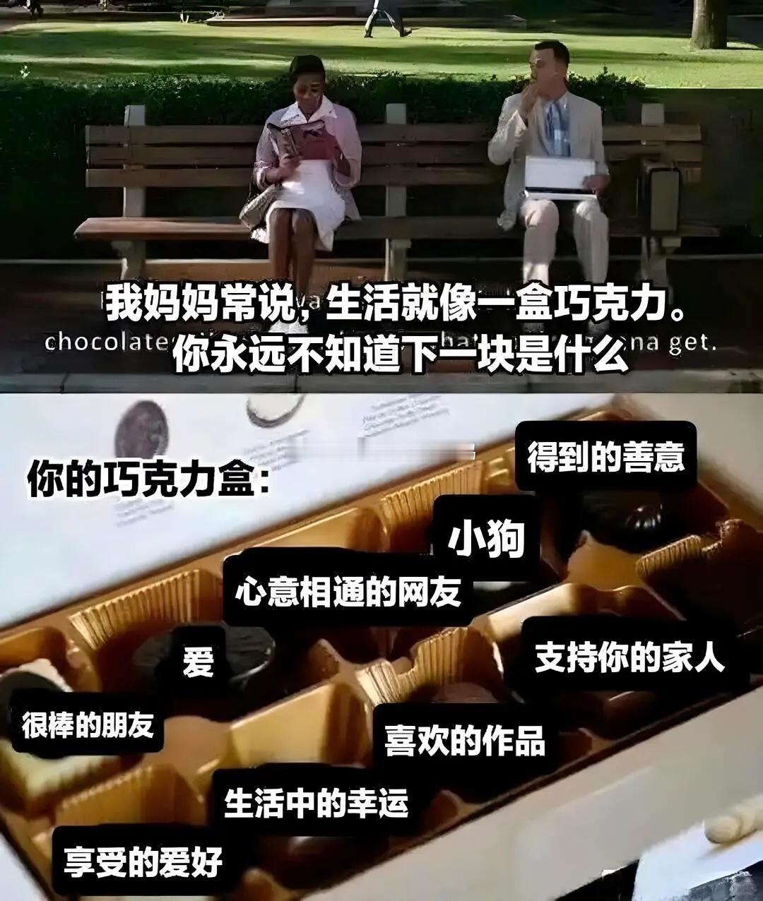 分享一些暖心治愈梗图~