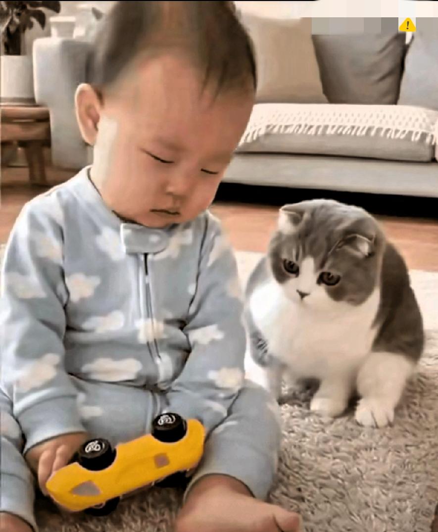 真的成精了！
谁说猫咪高冷没心眼？
这只猫简直把“带娃责任感”刻进了骨子里！
