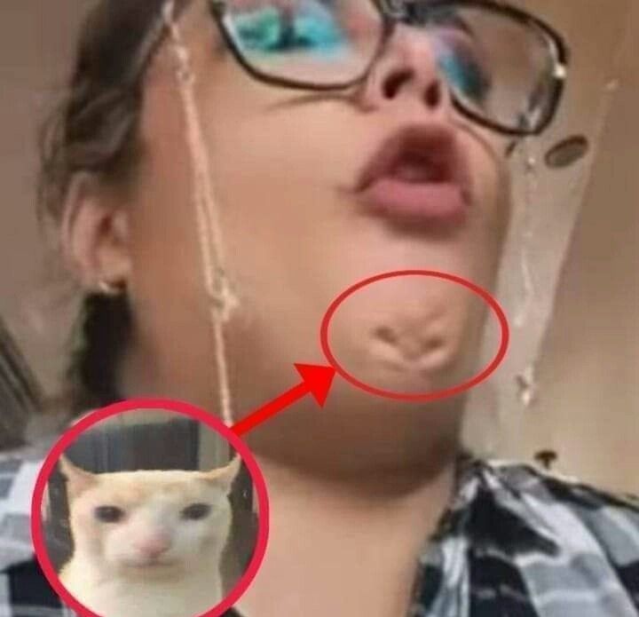 救救小猫😭 