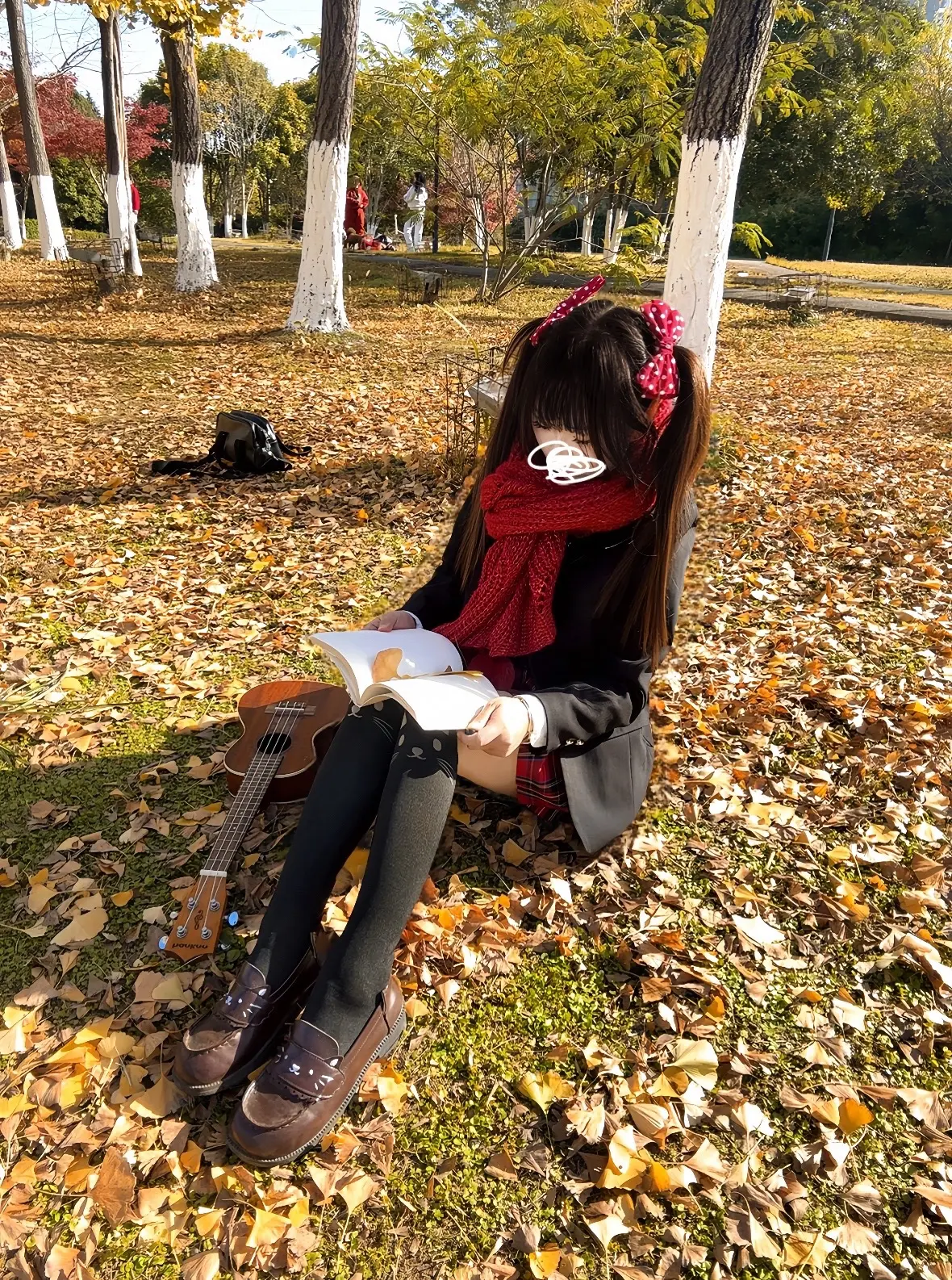 惆怅的枫叶🍁拍过我的肩