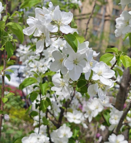 突然想通一件事：
很多人压根没意识到，家里一日三餐有人买菜、做饭、收拾，把一家人