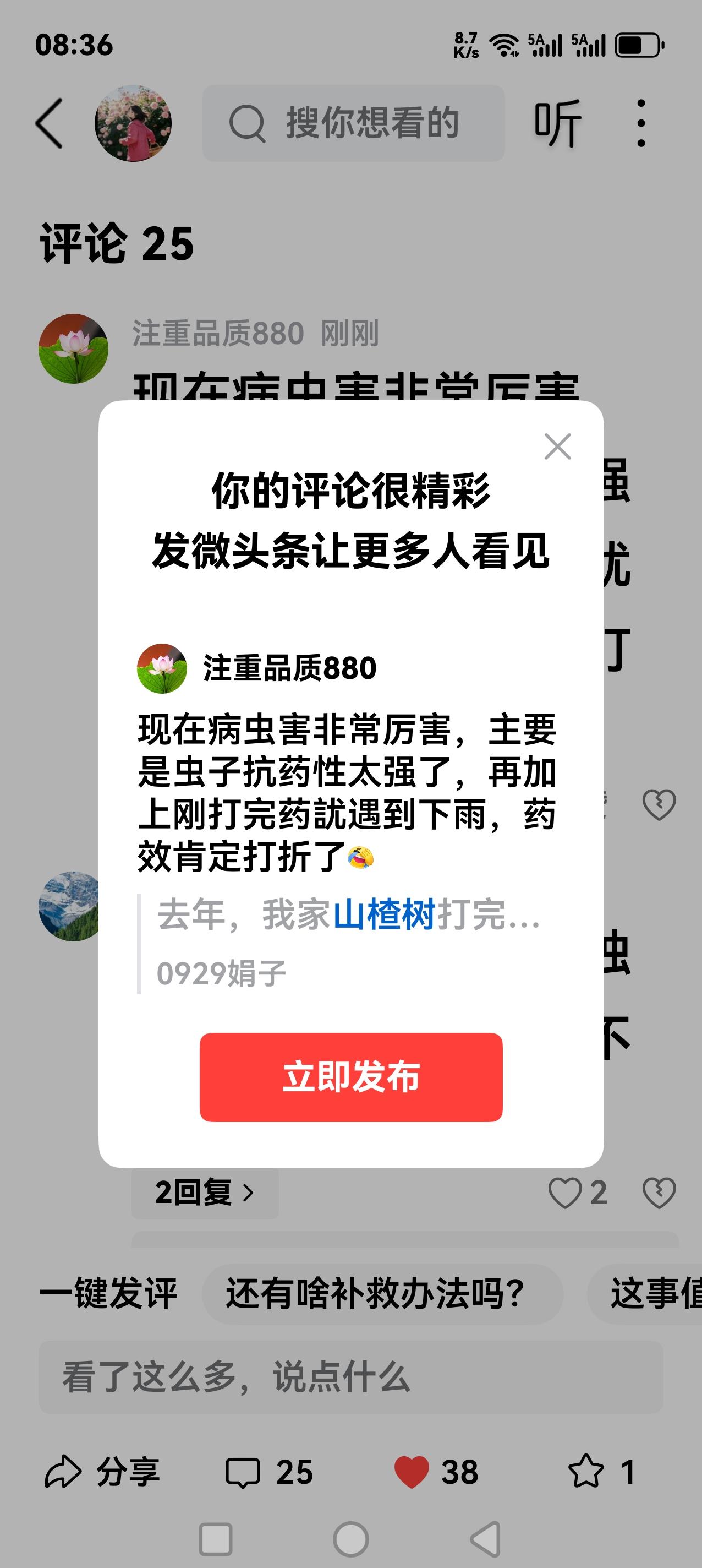 现在病虫害非常厉害，主要是虫子抗药性太强了，再加上刚打完药訧遇到下雨，药效肯定打