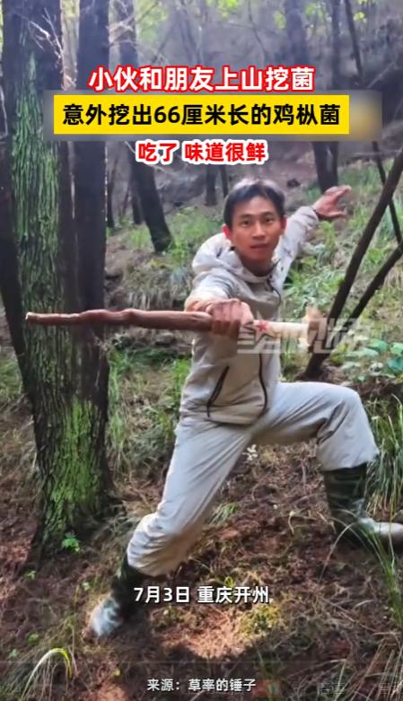 天降横财！重庆一位小伙上山溜达一圈，竟然捡到了一根快有他小臂长的“巨无霸”鸡枞！