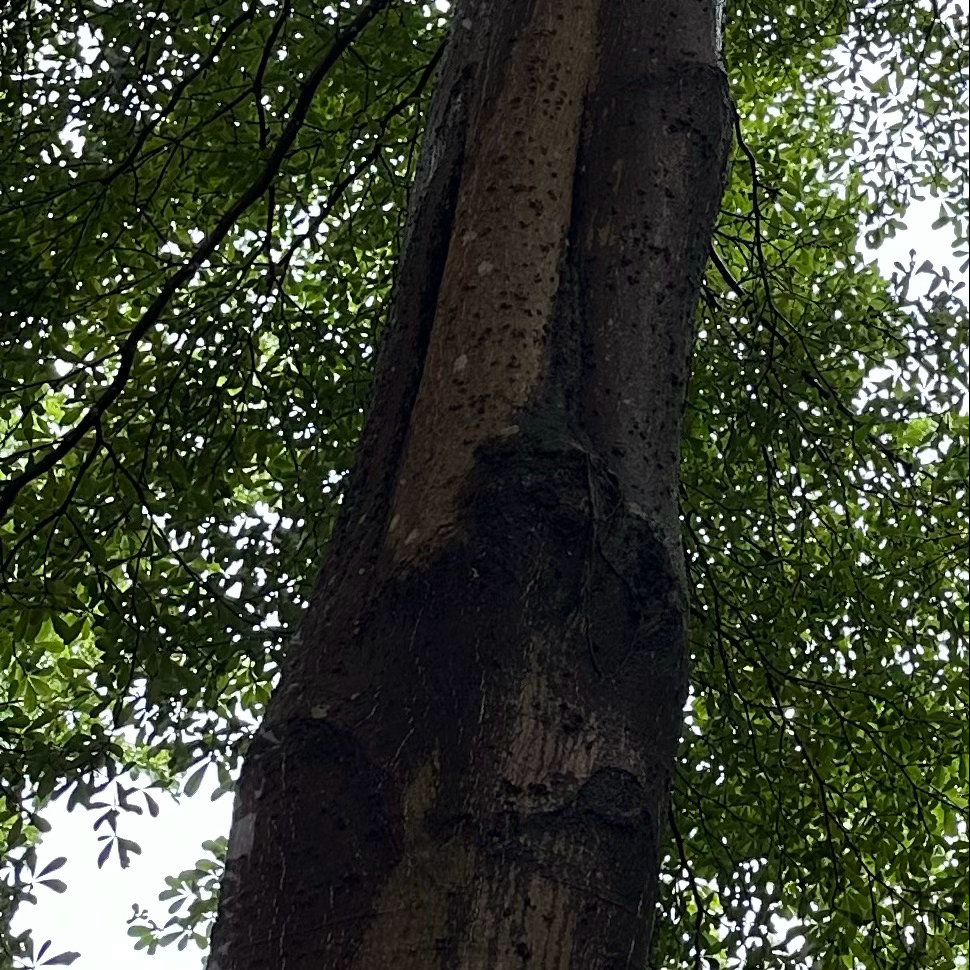 阳光信用  阳光信用 互动打卡 友情是决定在自己，不是在于对方，是在于自己的态度