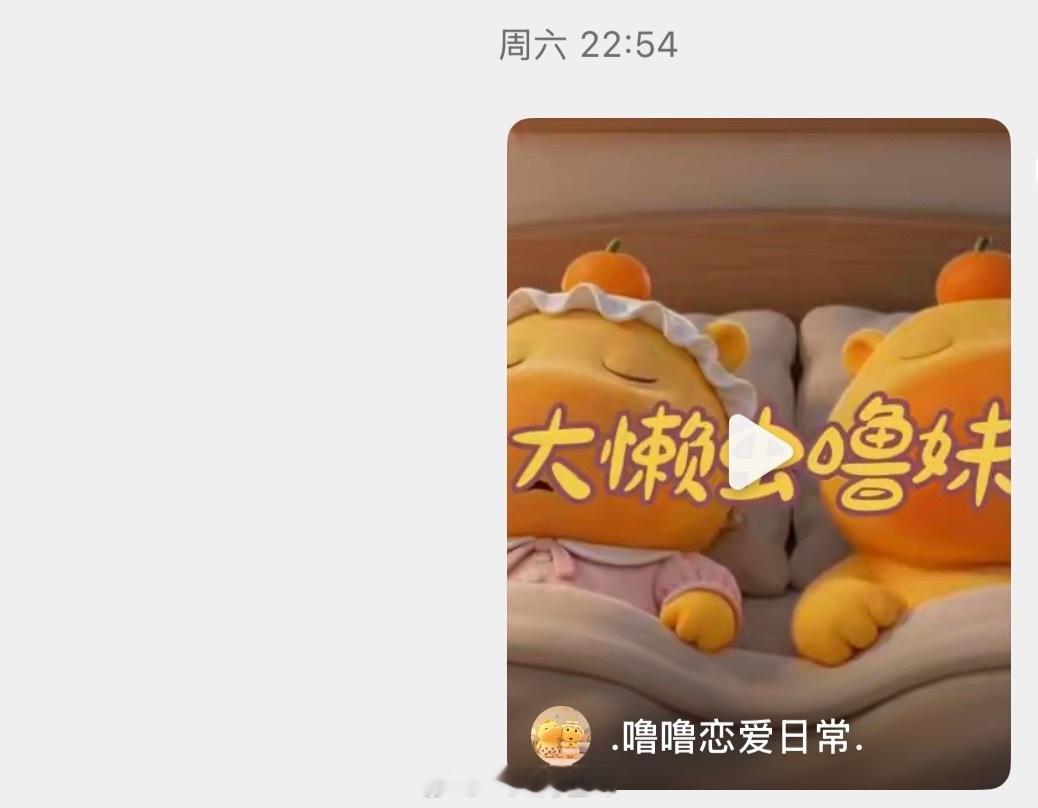 由于我最近不停的给我老公分享噜噜与噜妹的日常，于是今天下班得到一个噜噜