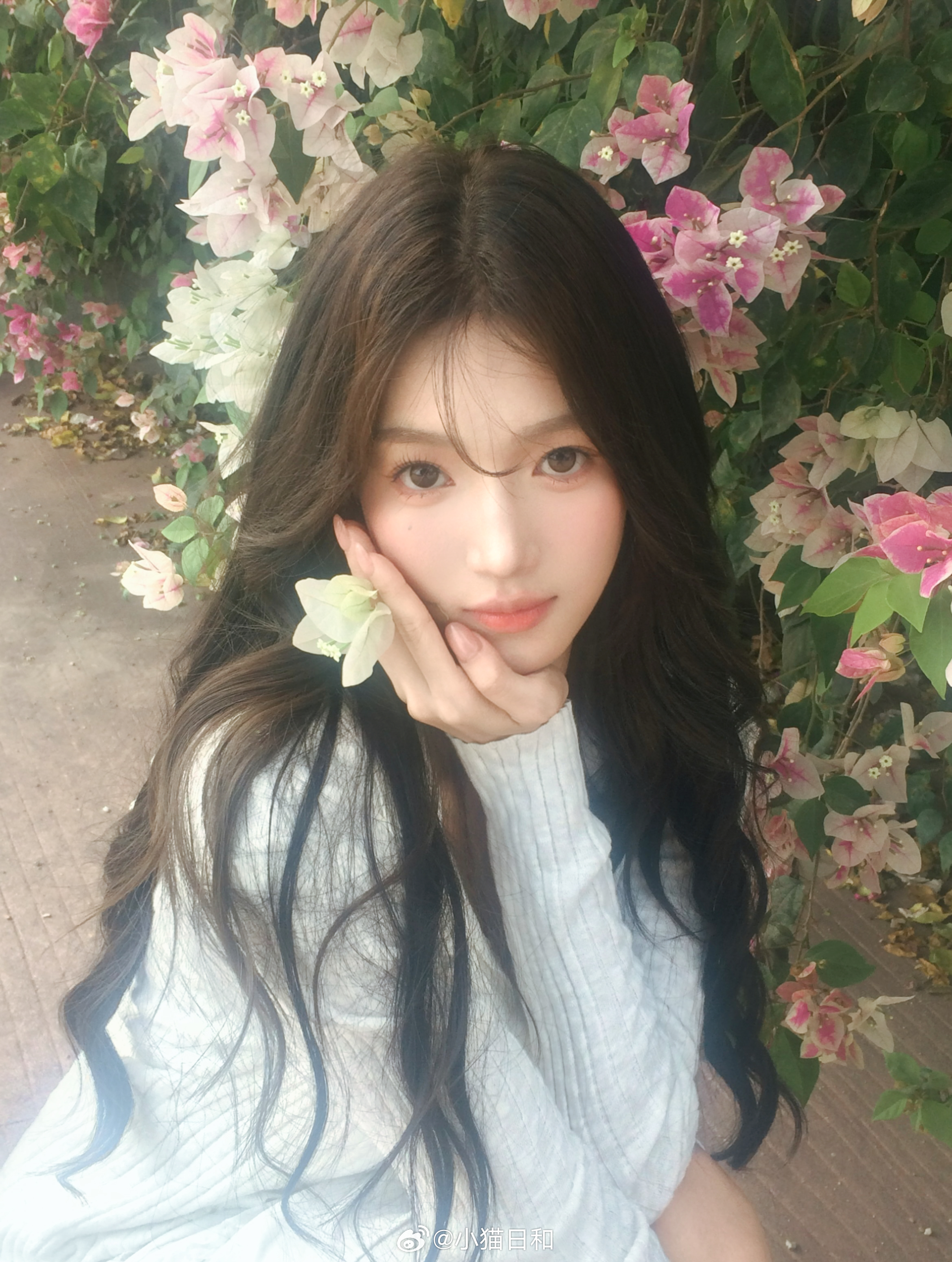 先发一张不管 ​​​