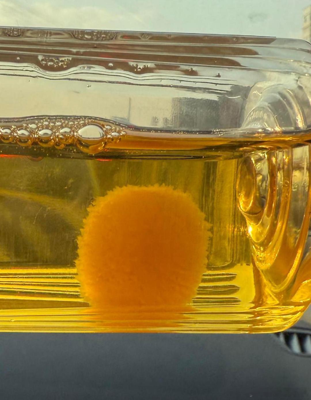 多方回应用东方树叶养茶菌当宠物不出意外的话，一大批中小学生在买茶的路上了