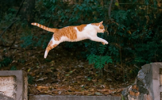 33s内转发 你会跨过当下最难的难关🙏 好运降临~ 