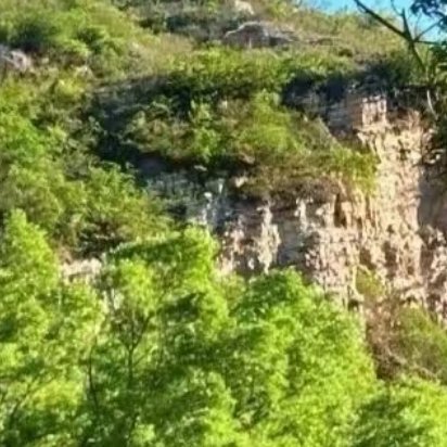 允许自己偶尔像落叶般低落，风会托起你，泥土会接住你，枯萎里藏着下一场生长的密码。