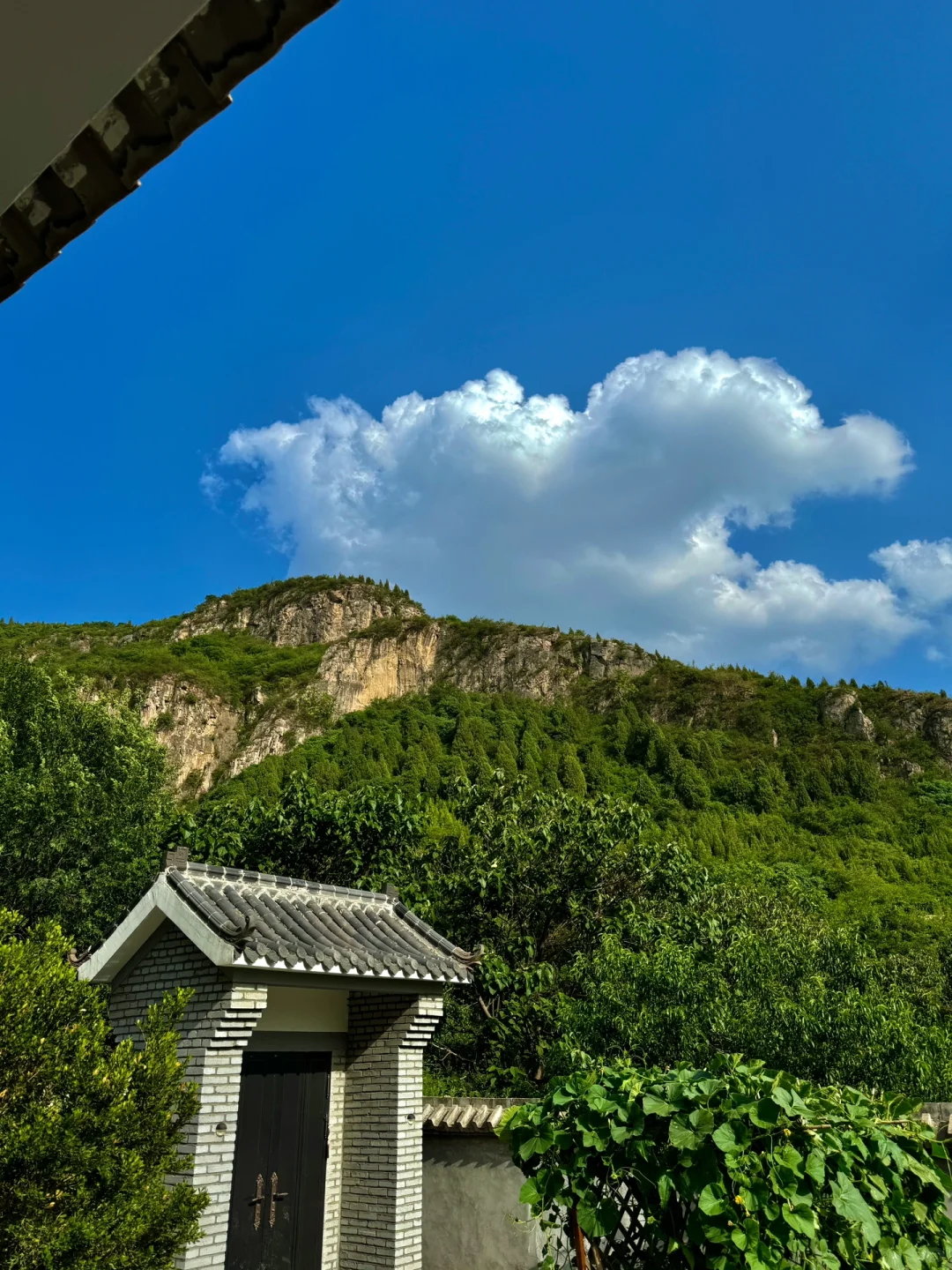 延续老一辈的过日子理念（女子养生闭环）