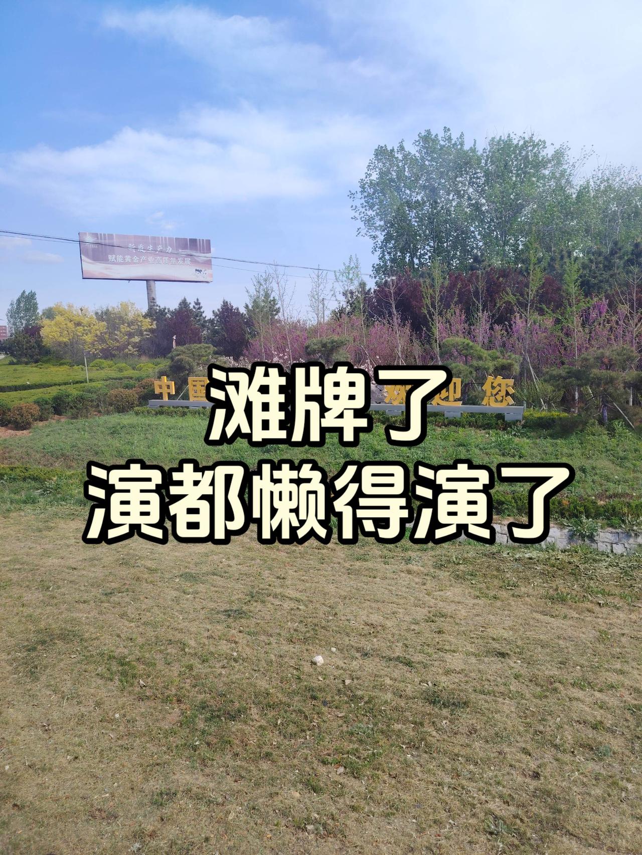 奋斗 演戏 寒心 经济 正能量