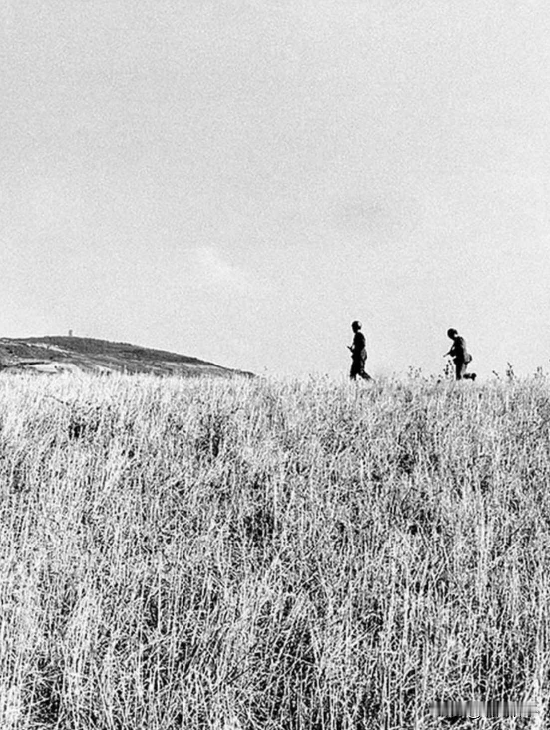 1963年，西西里爆发黑手党重大爆炸惨案，震动整个意大利。事件发生之后，当局调集