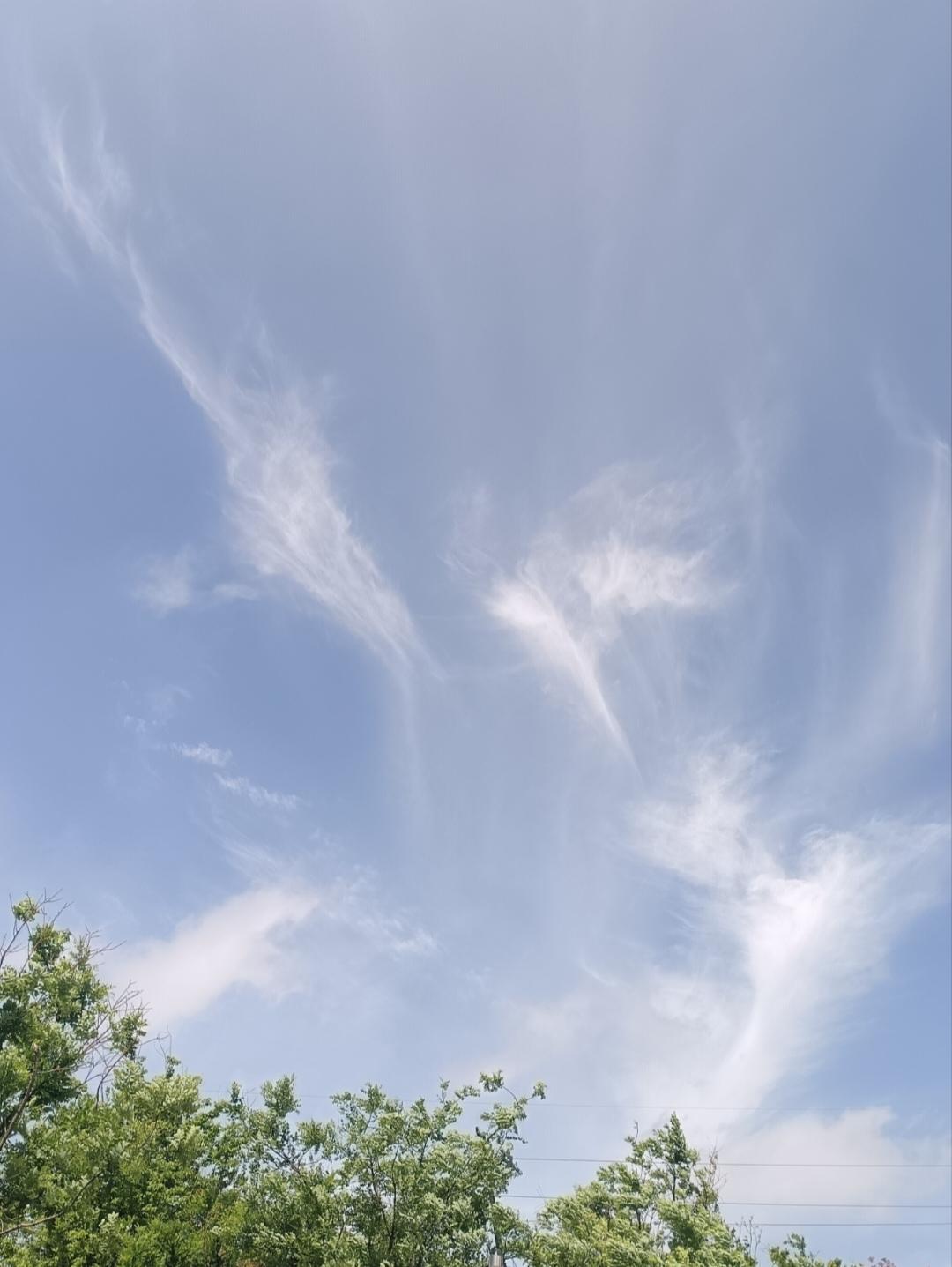 把你们天上的云发出来看看碧空蓝天，云朵轻盈舒展，似天使的羽翼掠过天际，温柔地拥抱