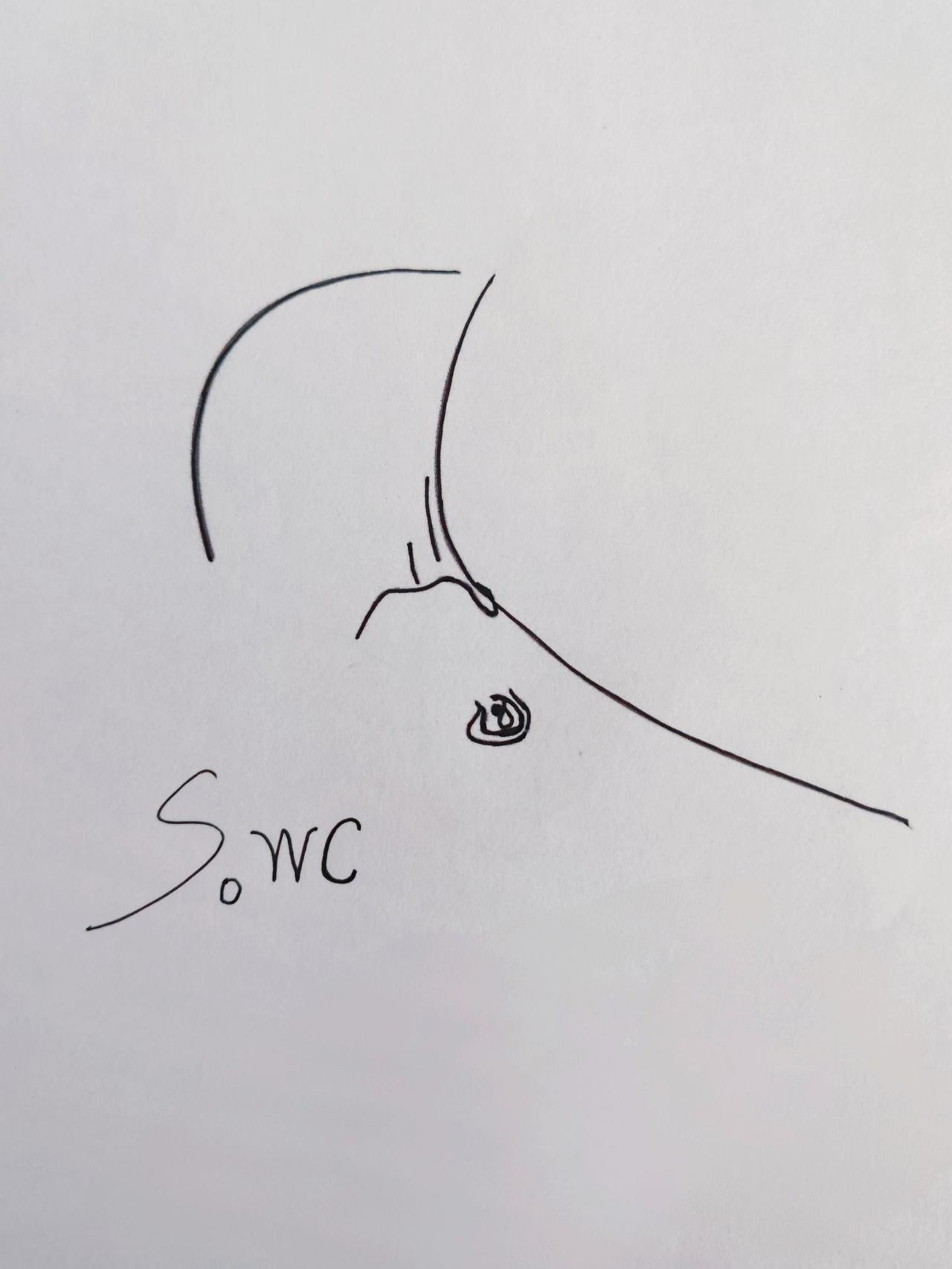 懂的人都懂
搞笑灵魂画手 简笔画 懂的人都是老司机