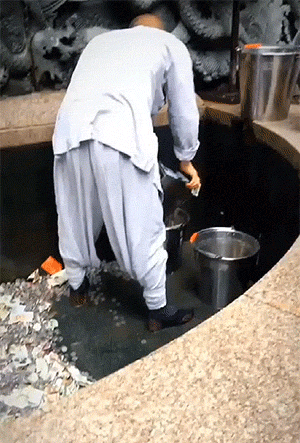 这得有多少钱？ 