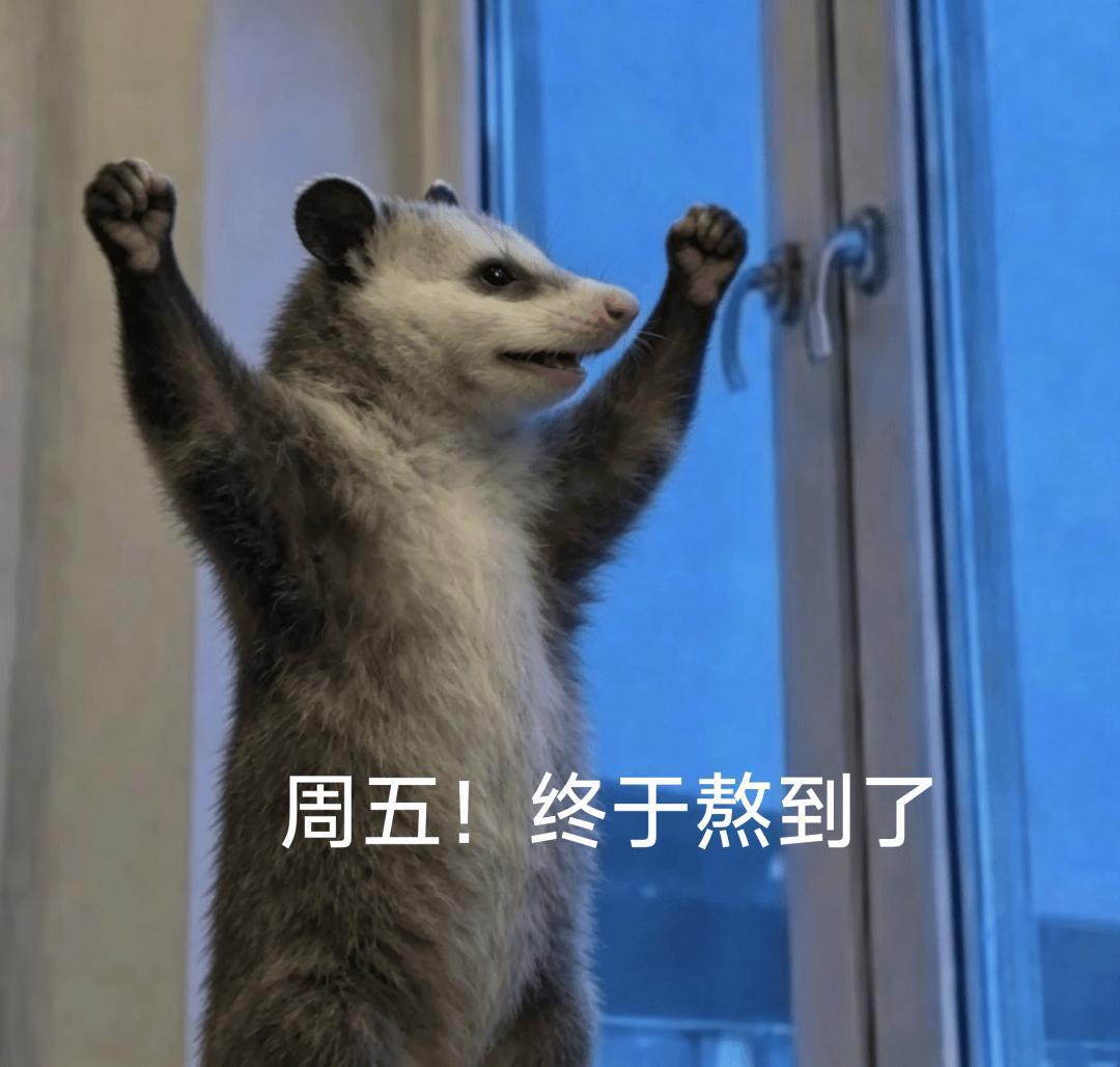 早晨，唤醒美好的一天