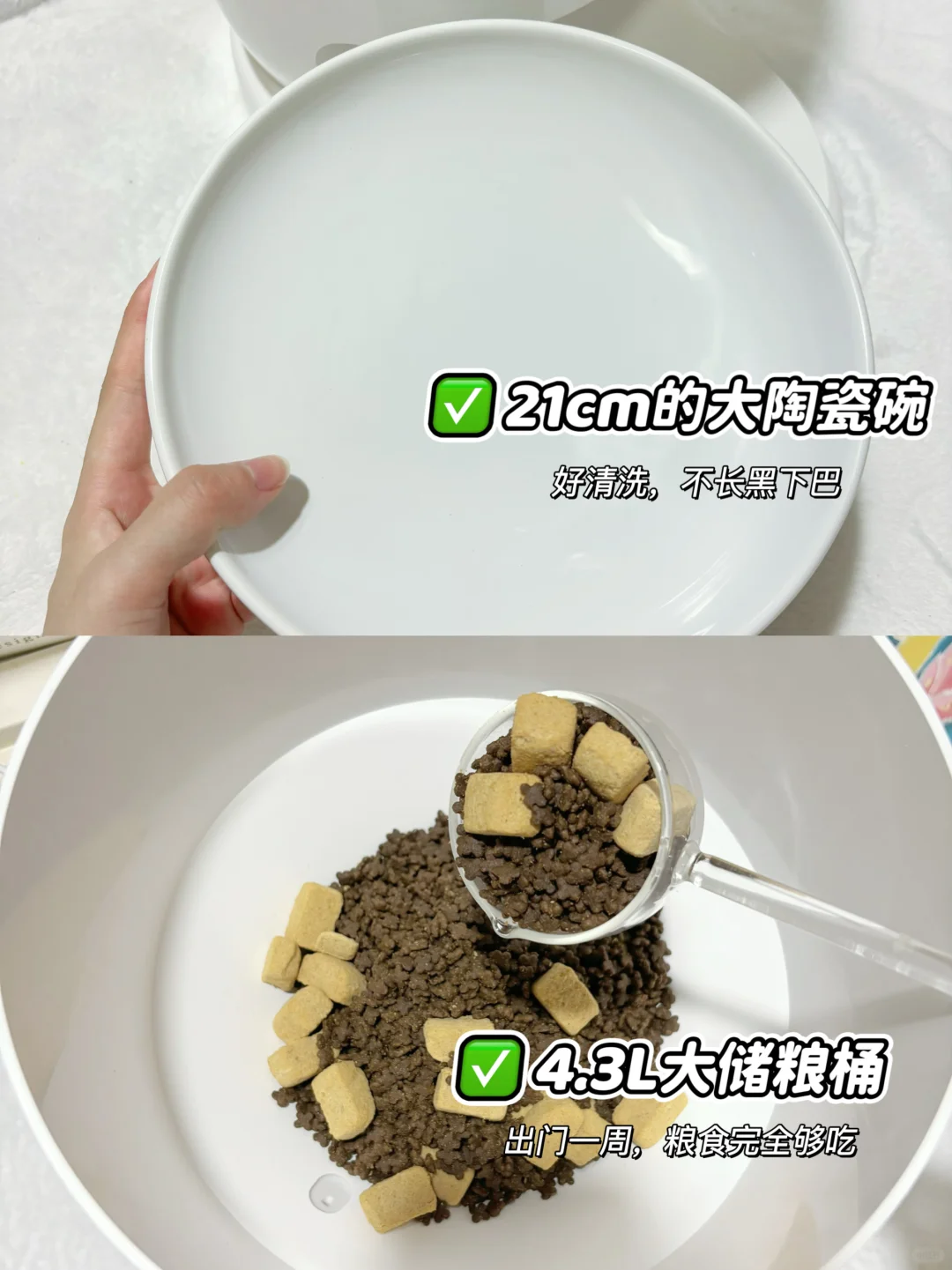 996打工人熬夜大整理！无线喂食器真实测评