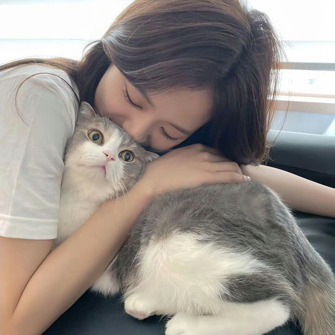 kpop头像  女爱豆头像  金智秀头像  jisoo头像微信头像  kimji