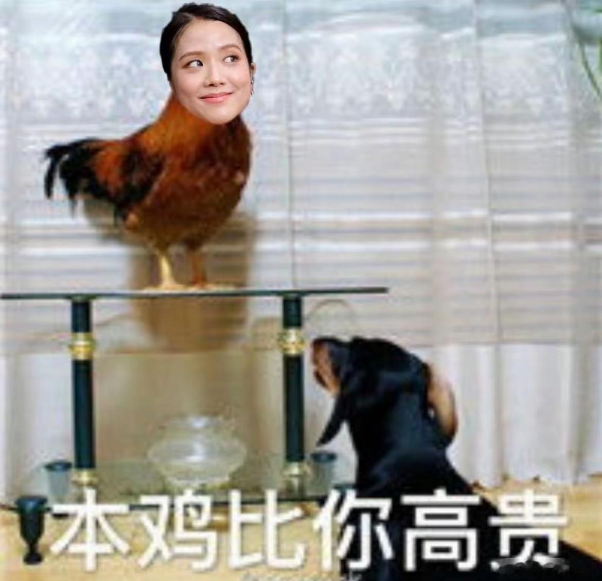 你有啥咋了咋了的？拉黑你这唐娃我还得通知你一声吗 