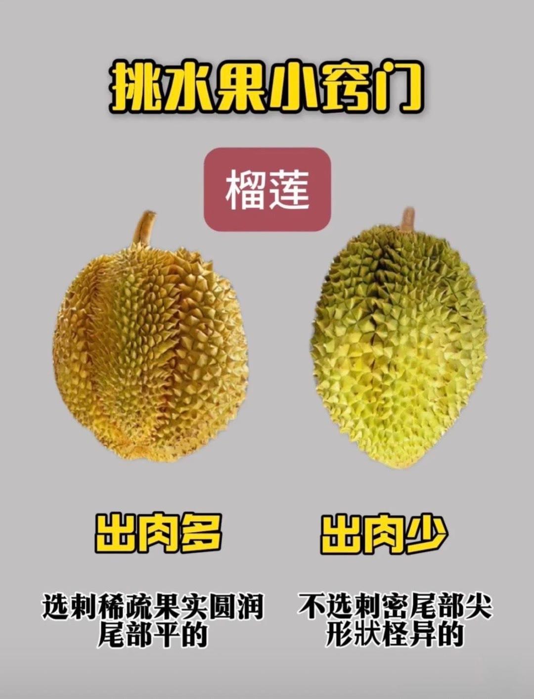 挑选水果小技巧～🍌🍑🍓🍍 桃子熟了  草莓  每天学习一点点水果六选一 
