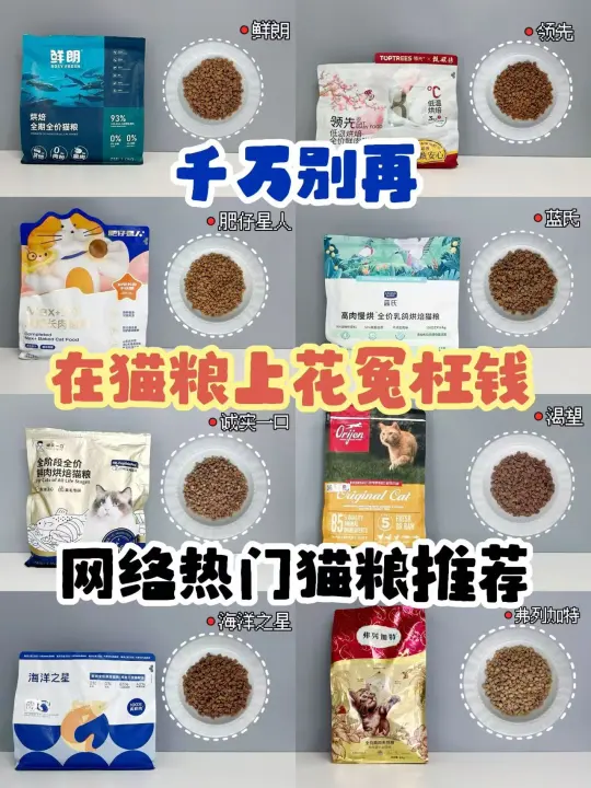 还在为猫粮花冤枉钱？看完这篇让你少走弯路