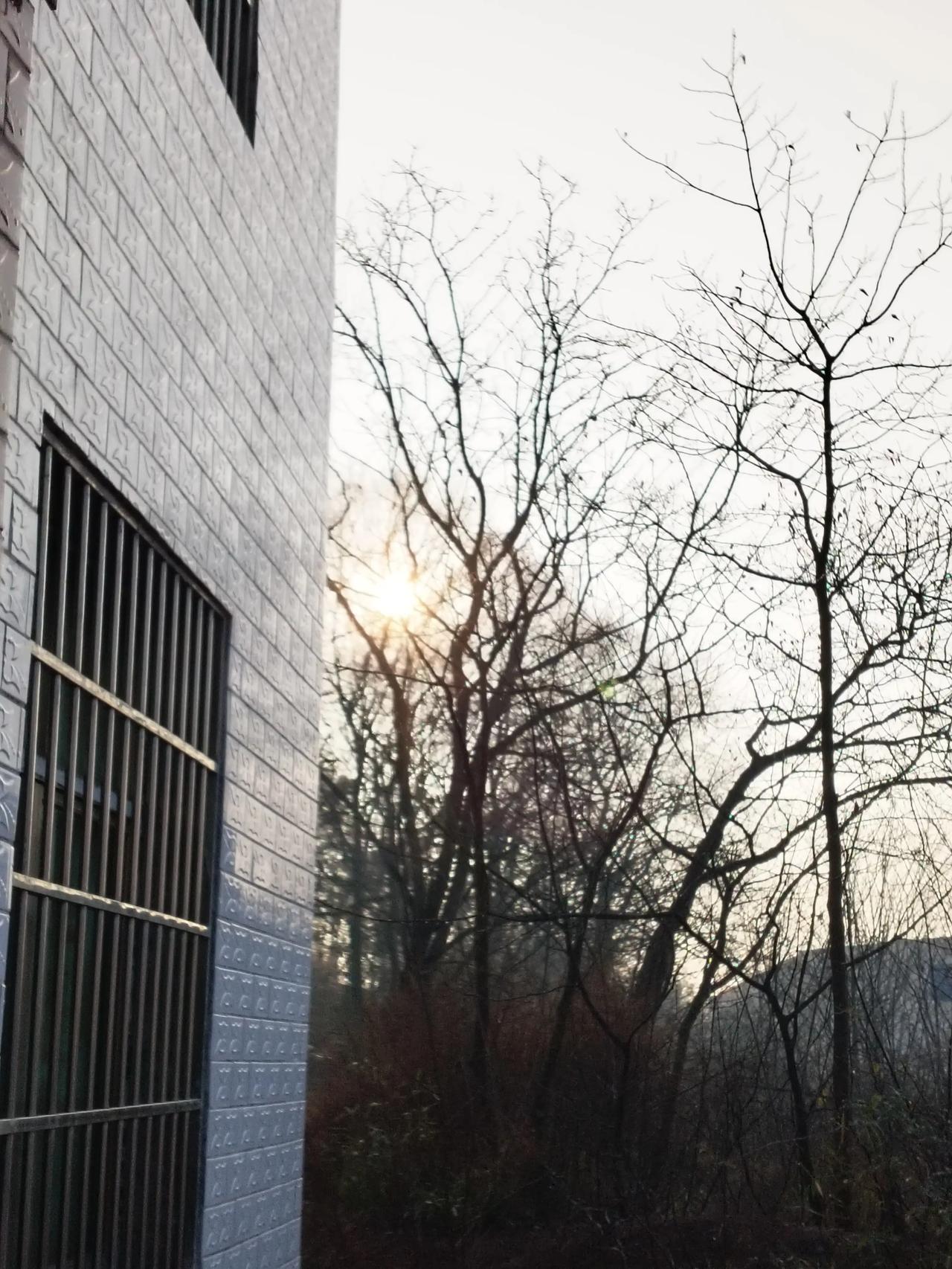 冬日生活打卡季冬咏<五绝>