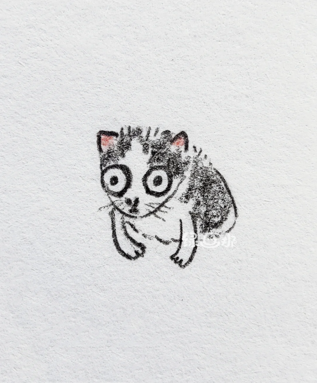 小猫：不知道啊~听说包吃包住我就来了