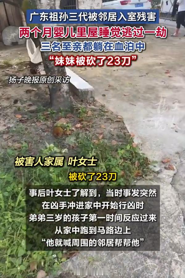 2025 年 3 月广东廉江，村民叶某志持刀杀害祖孙三人，两月大婴儿因熟睡幸免于