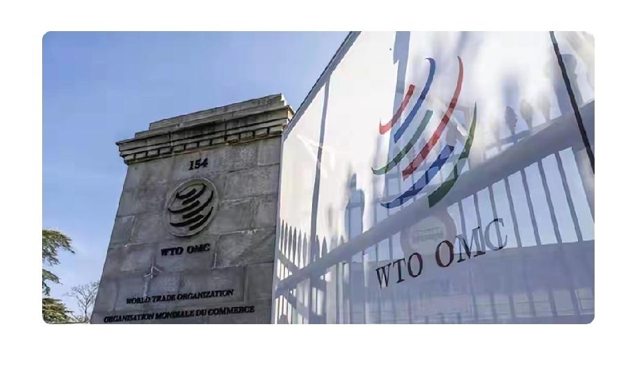 WTO更改台湾称号这事可太提气了！一直以来，美国等一些势力总想在台湾问题上搞小动