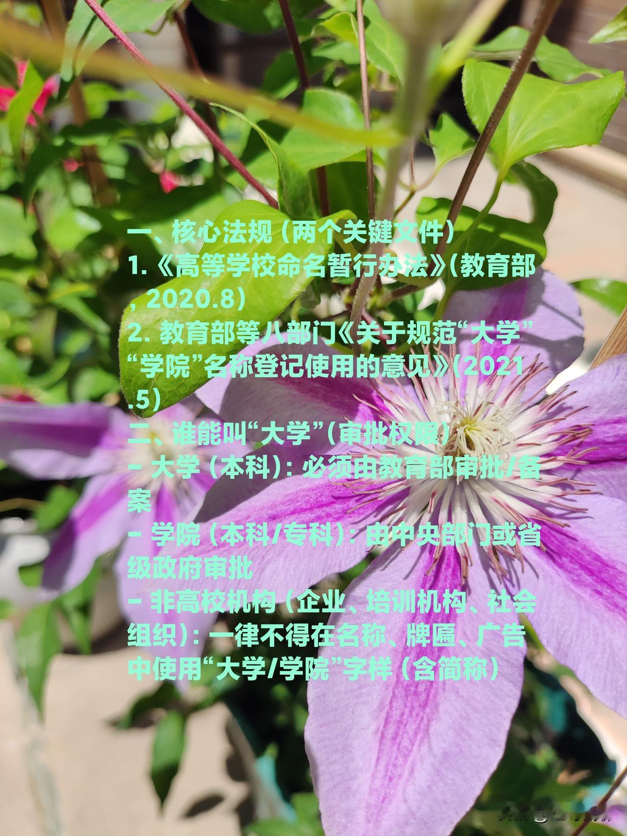 今天刷到一个号称世界名校毕业的某人发的视频，号称要办一所互联网大学，据他而言已经
