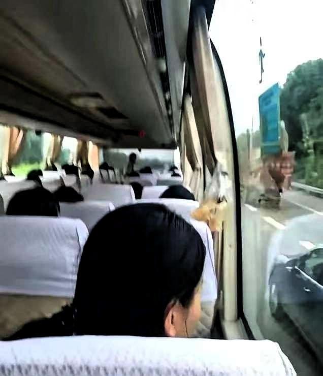 云南一个3980块钱的6天团，母女俩报的。大巴开到一半，导游突然把袖子一撸，手臂