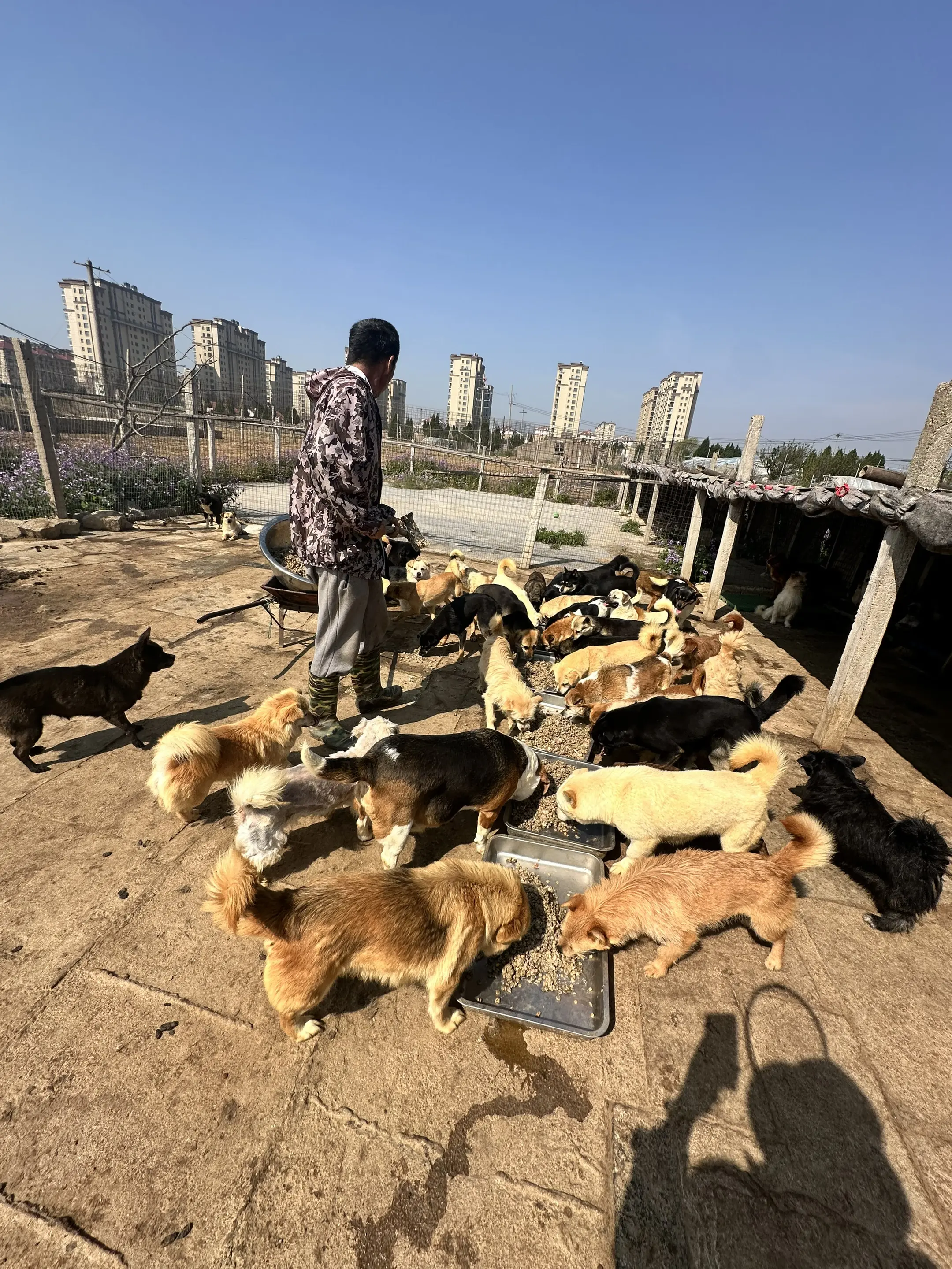 团购已经开启，下单发送核销码即可帮助。求助的太多了，可是谁又能懂其中的艰难