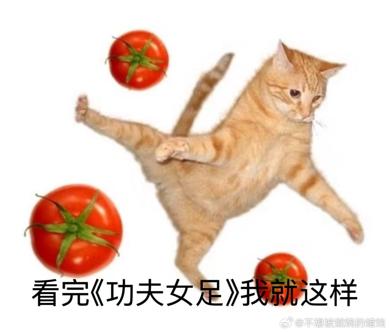 周星驰回应功夫女足破纪录别人破纪录开庆功，星爷破纪录在路演哽咽说做得不够好。《功