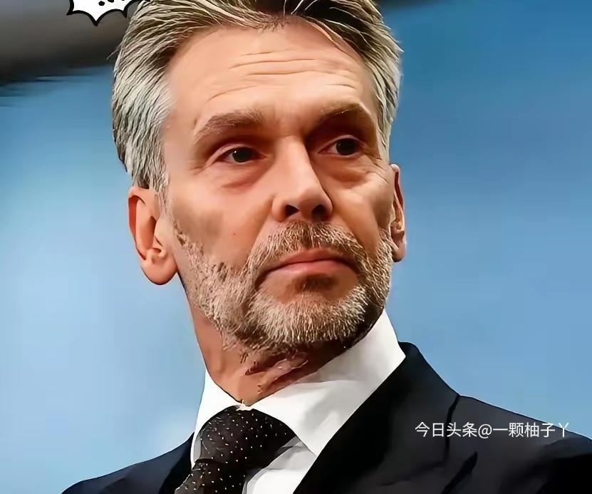 闻泰科技2月11日晚上真发公告了，荷兰法院那边没松口，之前的限制措施继续维持，对