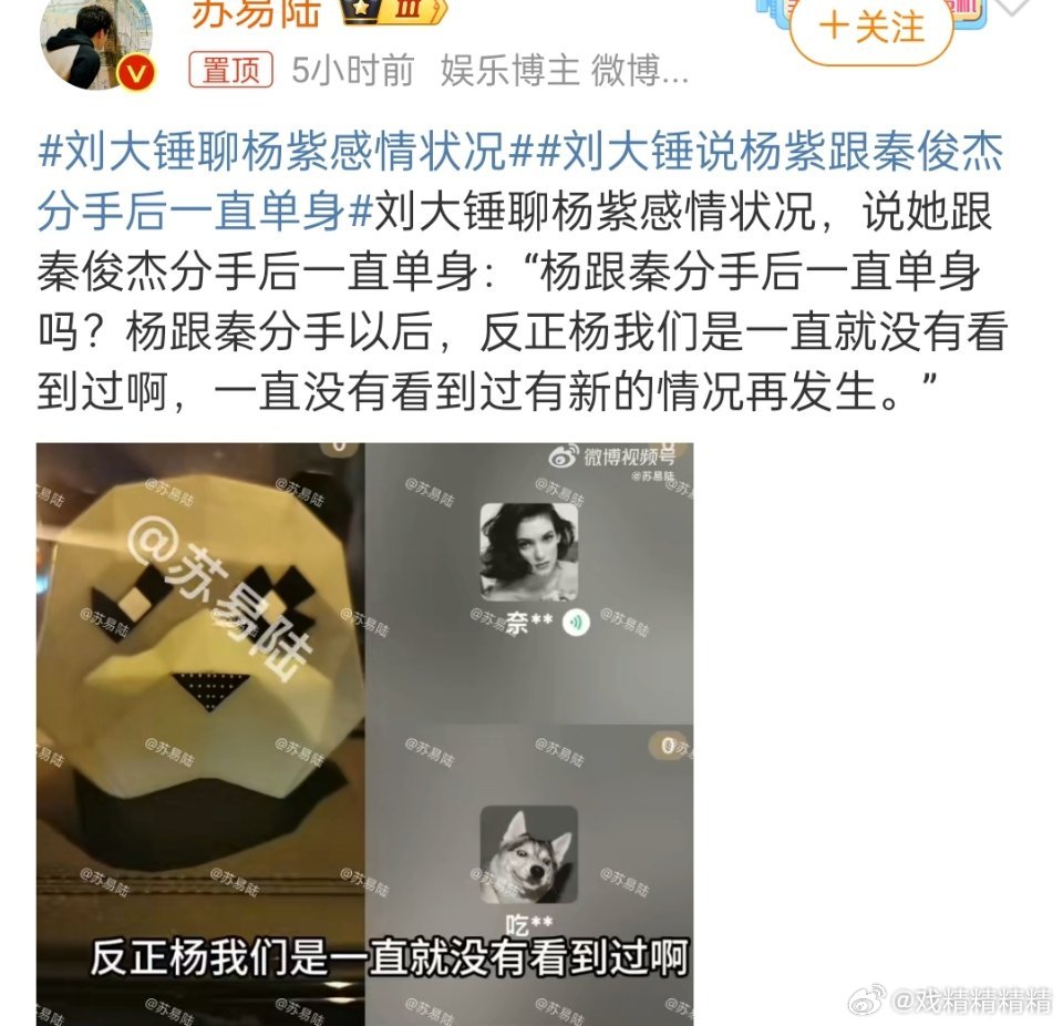 刘大锤聊杨紫感情状况他说，自从和秦俊杰分手后，七年了一直单身，你信他说的吗？ 