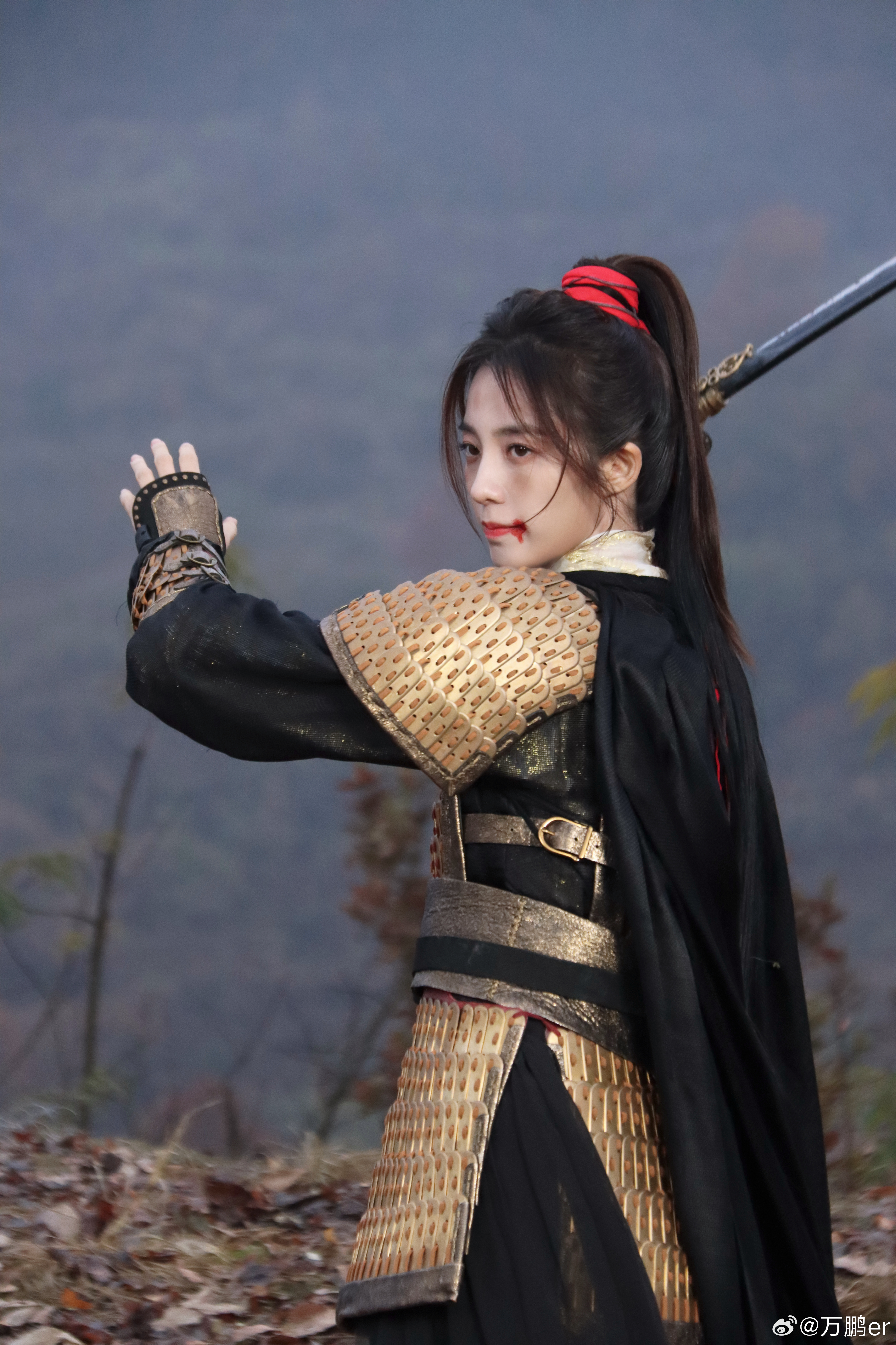 万鹏 《江湖夜雨十年灯》蔡平殊☽ 剧照（br+gb+zl）-盔甲 