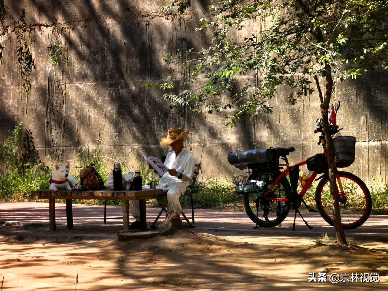 浓荫蔽日避炎光，闲坐庭隅品茗香。犬伴书边风送爽，浮生纳凉享清长。树荫筛下斑驳日光