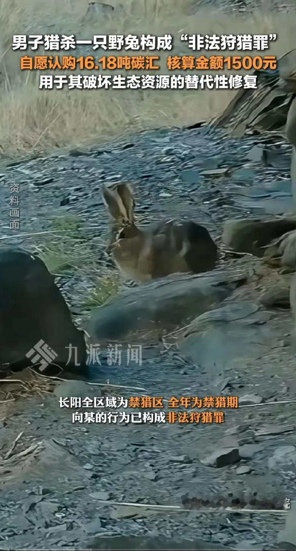 大家以后出门要带上保护动物手册了，先看看前面的动物是不是在保护动物名录里面哈！