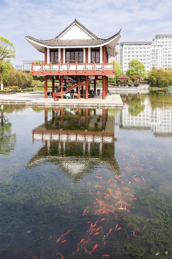 上饶休闲胜地

在上饶市中心一带，有一大片休闲区，市民公园、上饶创业文化公园都集