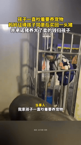 太有意思了！贵州平塘，一小女孩天天缠着妈妈，哭着闹着想要养宠物，妈妈一开始直接拒