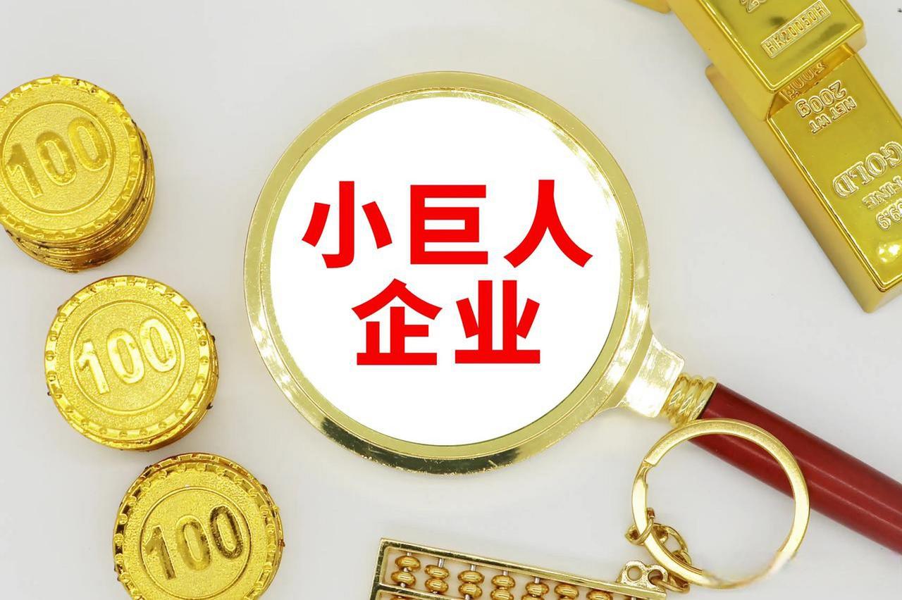 【南沙新增9家重点“小巨人”企业】近日，工业和信息化部公示2026年国家级专精特