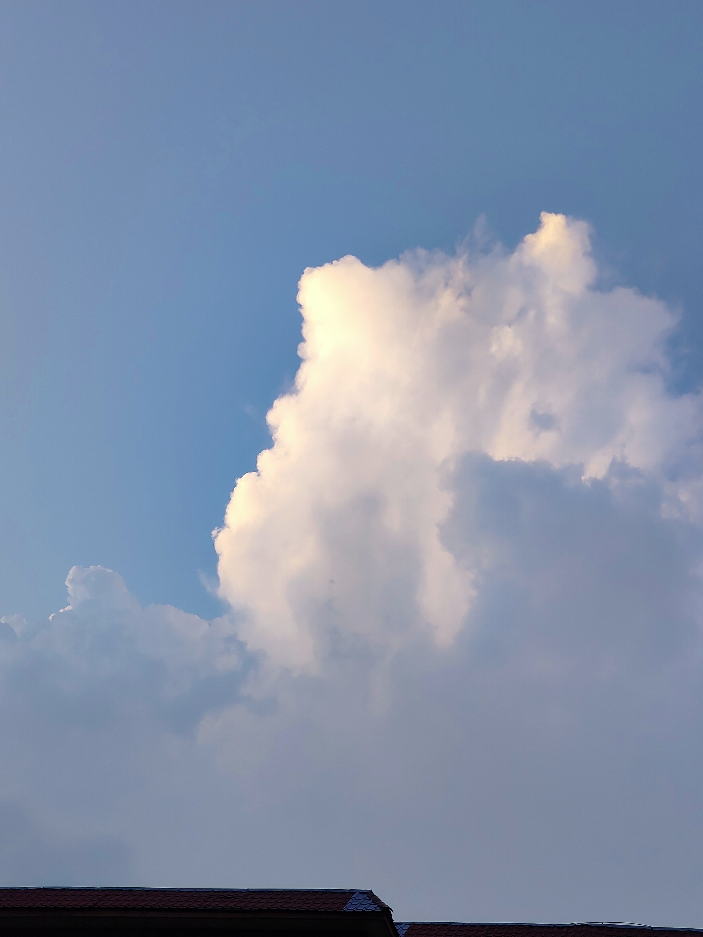 送你一张现在的照片夕阳西下孩童嬉笑蚊虫叮咬