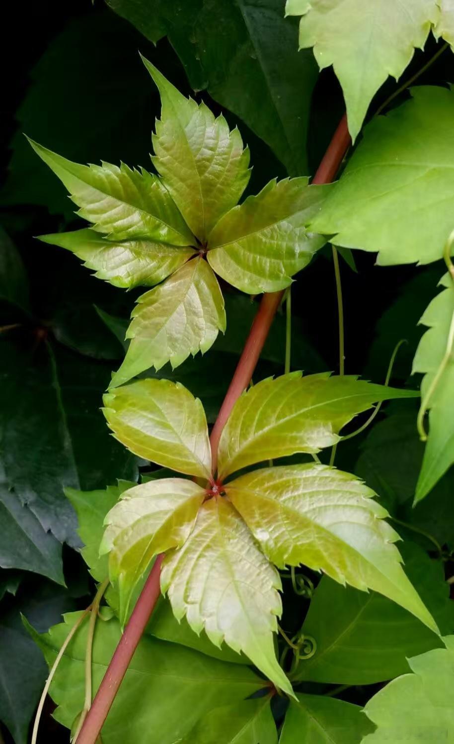 原来，这世上最深情的东西，最真诚的东西，就是“不期待”与“无要求”。      