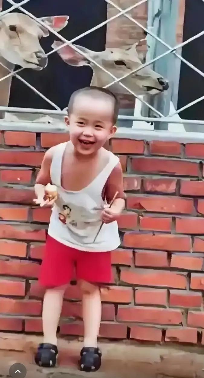 原来，小时候的他就这么爱逗笑啊，他的笑是最有观众缘的，哈哈，连两只羊都喜欢他。真